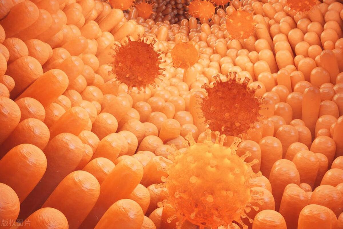 老人吃阿莫西林进入icu,孩子感冒婆婆让我喝药