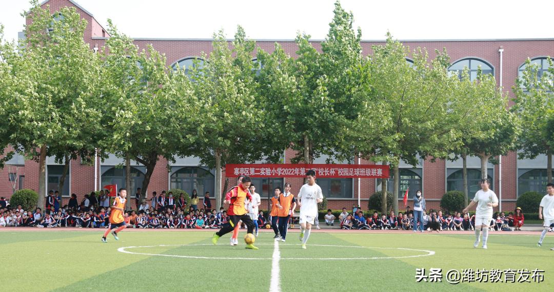 新闻周播报视频,新闻周播报