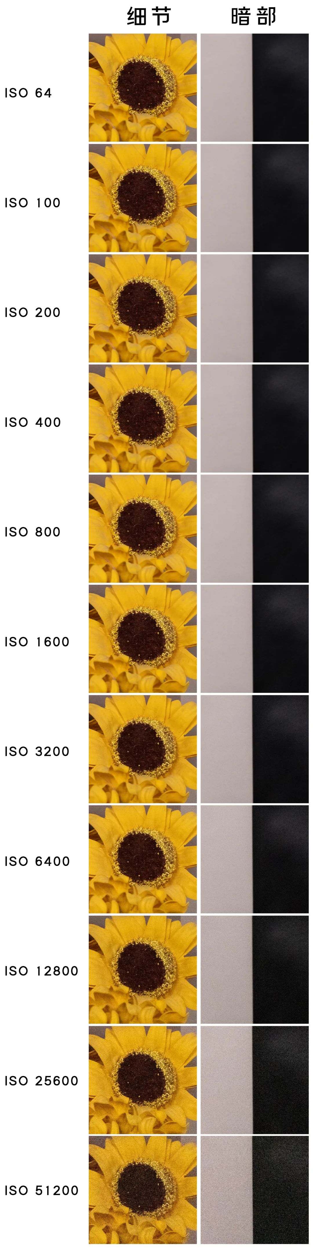 富士xh2s和富士xh2评测,富士xh2实拍体验