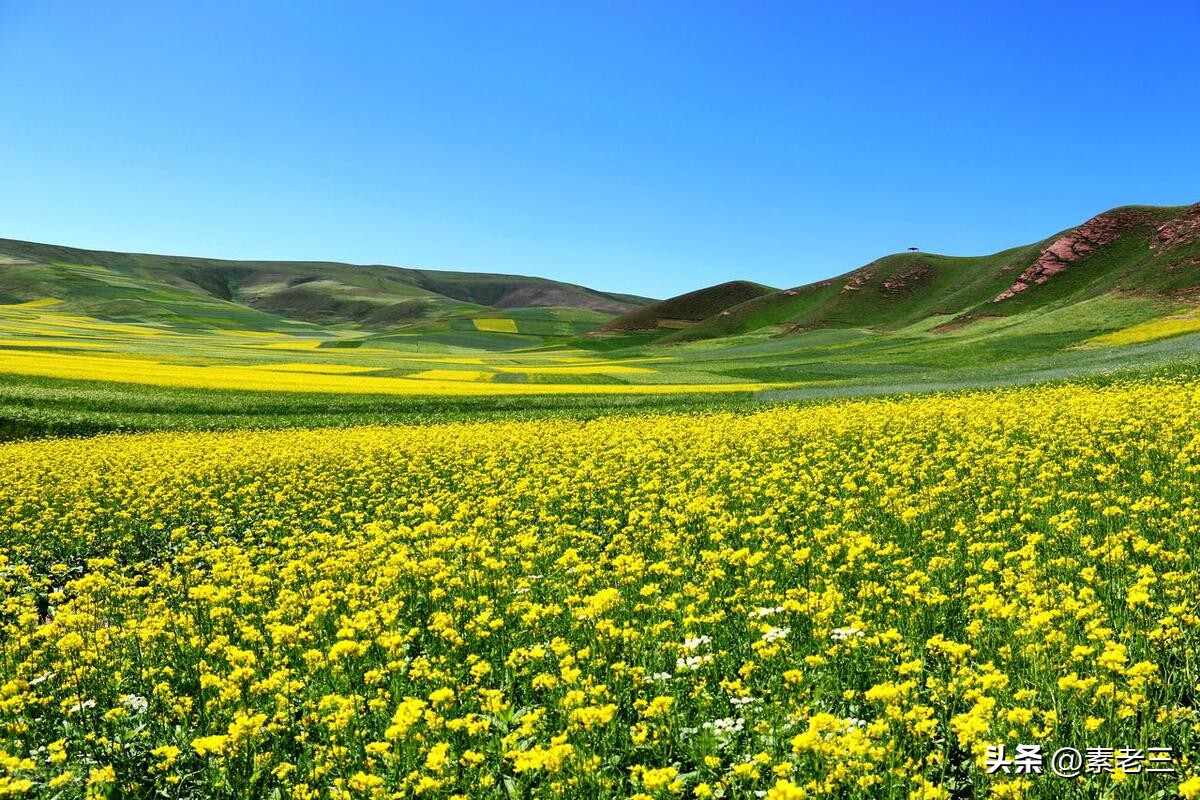 女作家去做保姆——保姆的秘密(671)