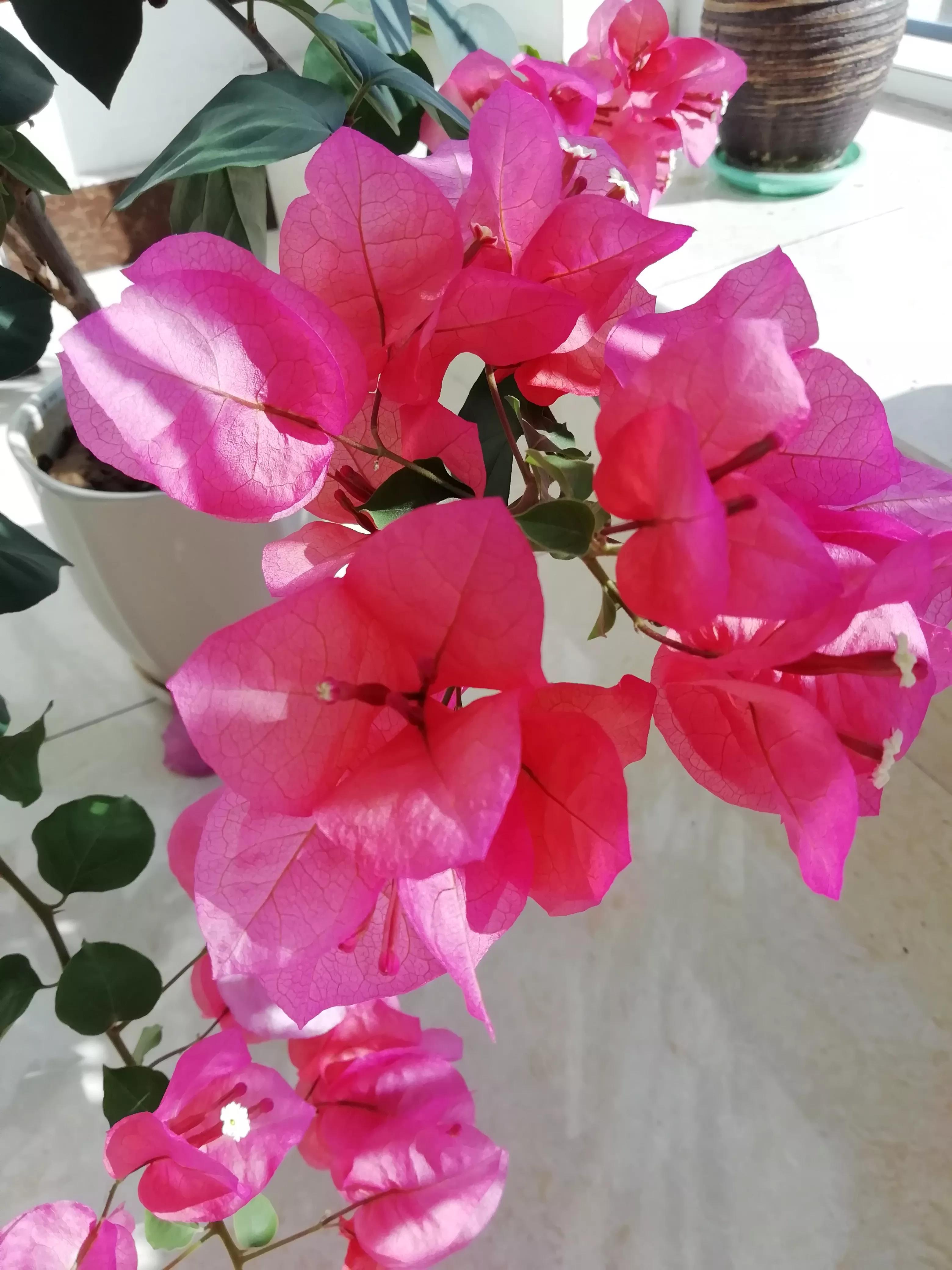 阳了之后才发现，囤菜就是浪费，还发现了发汗小妙招