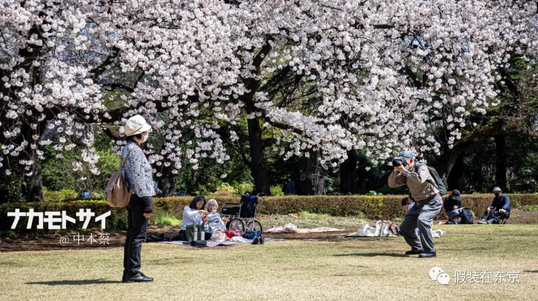 365张照片回顾,365张相片