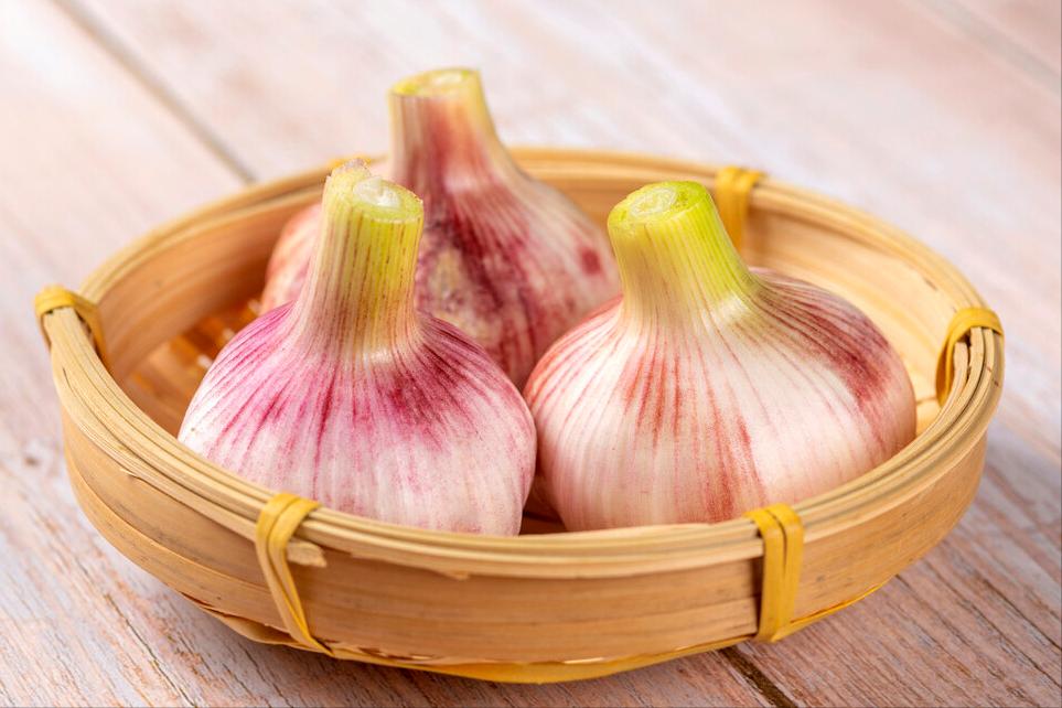 老蒜快速腌糖蒜的方法,腌糖蒜的正确方法怎么腌