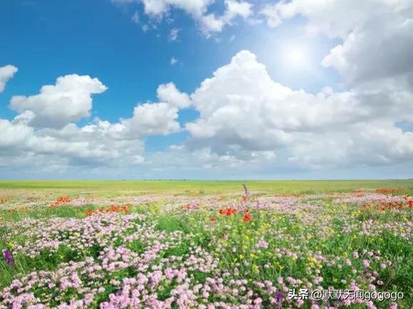 回首过往，他才是最爱我的男人