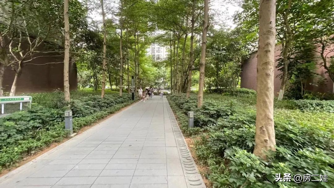 万科东荟城好房测评,万科东荟城哪个楼盘好