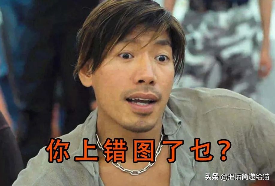 女孩救下一只差点被货车撞死的猫,小女孩救下乌鸦被夺走眼睛