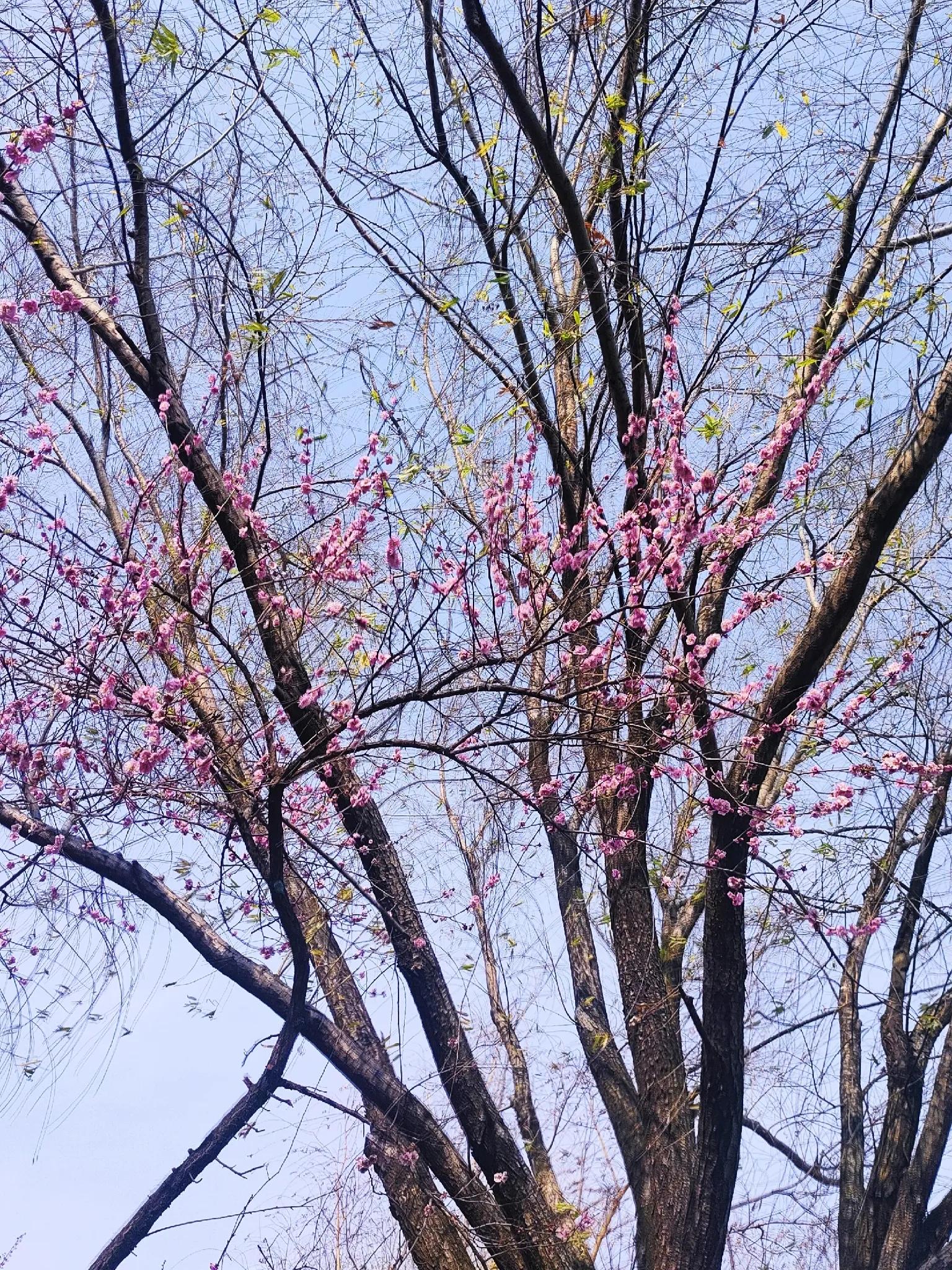 合肥旅游景点大全排名榜前十名,合肥市区旅游攻略必玩的景点
