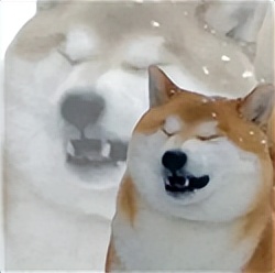 几年前倒闭的蛋糕店,盘点上海那些倒闭的蛋糕店