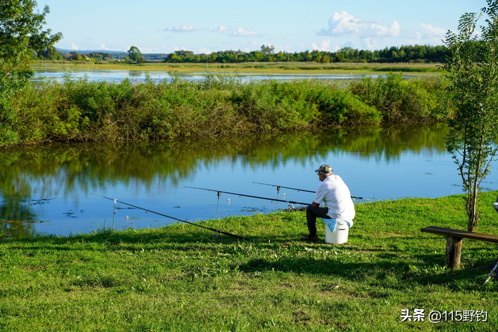鱼竿手竿品牌,网上鱼竿手竿怎么选