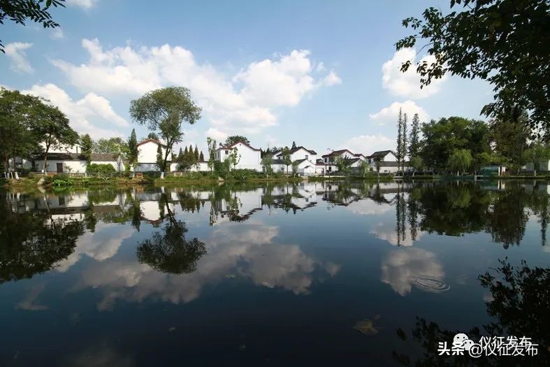 村美民富描绘乡村振兴新图景,村美民富产业旺