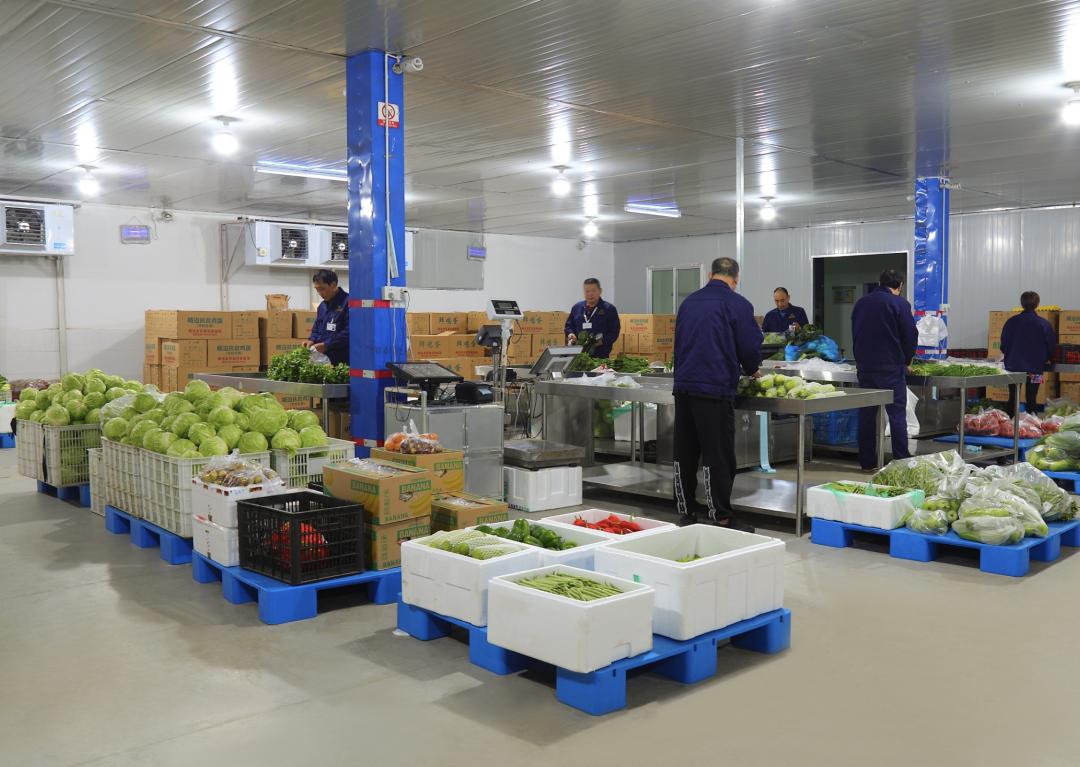 招工难？用工贵？30秒带你认识生鲜配送企业管理人才难招