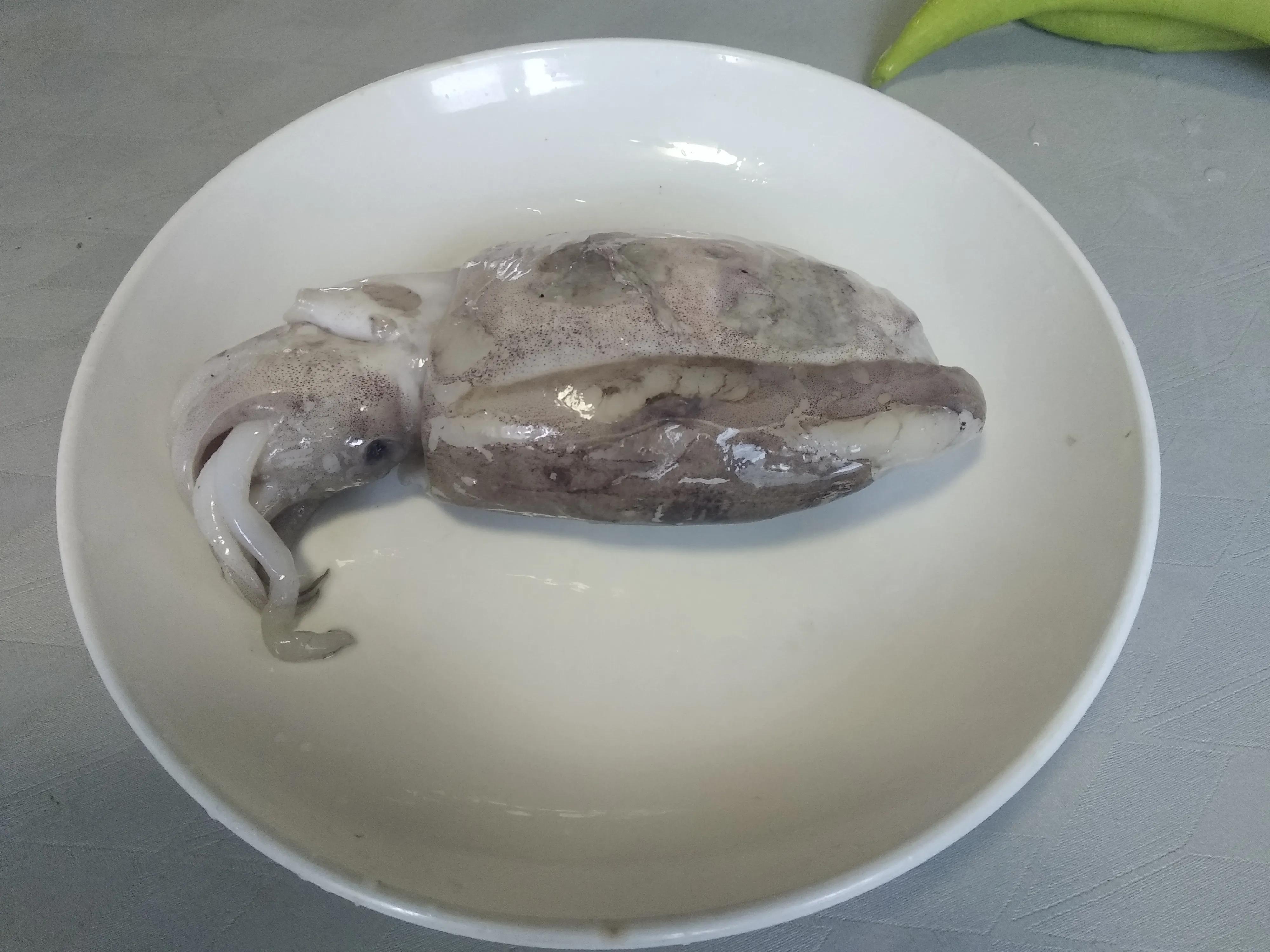 休渔期到来但这些海鲜仍可以选择,休渔期什么海鲜最好卖