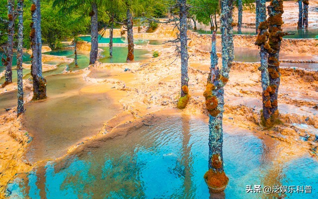 四川海拔4000米网红打卡景点,去四川旅游最值得去的十大景点