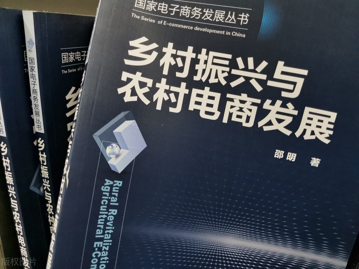 探索农村经济电商发展新模式,农村电商的十种发展模式