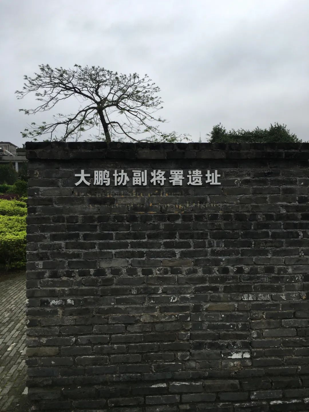 《旭光骑行深圳》第19站——大鹏新区大鹏街道