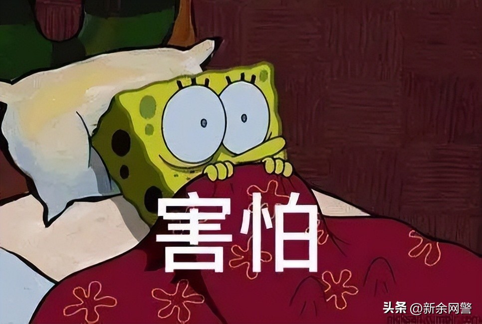 京东白条欺诈案钱能追回来吗,京东白条欺诈案可以告京东吗