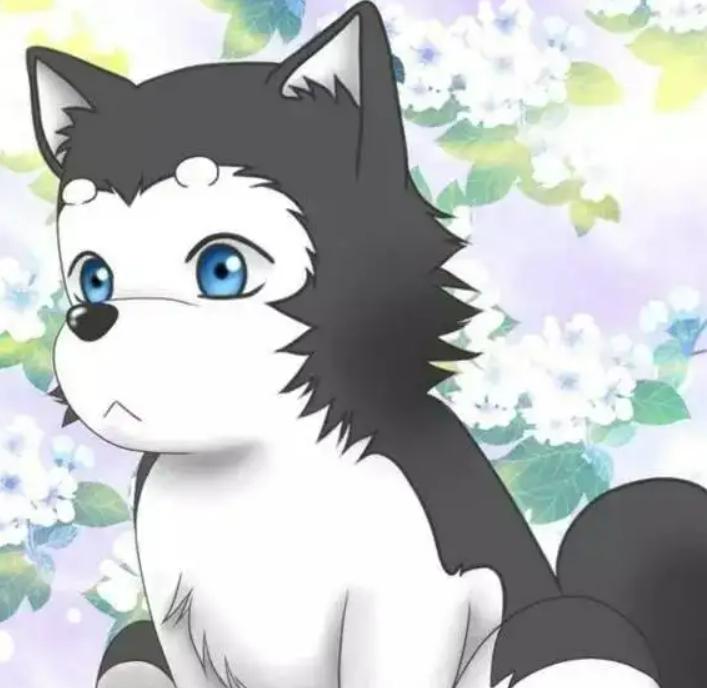 可爱治愈系的小动物动漫,动漫中可爱的动漫宠物