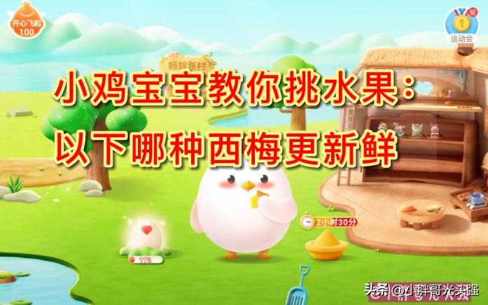 小鸡宝宝教你挑水果：哪种西梅更新鲜？蚂蚁庄园小知识