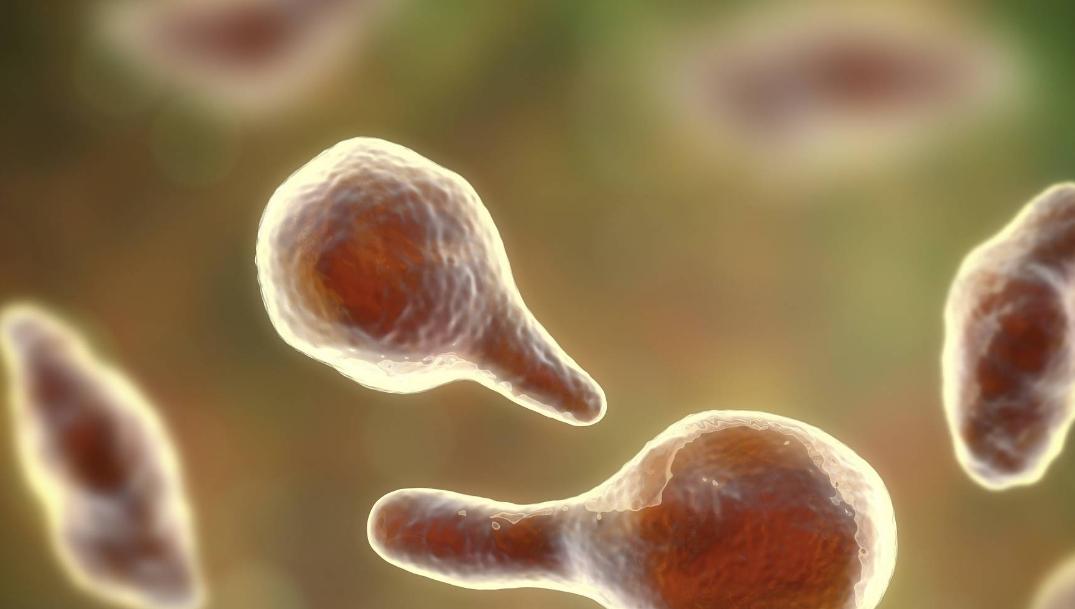 安全套的油会不会影响胎儿,安全套的油对身体有害吗