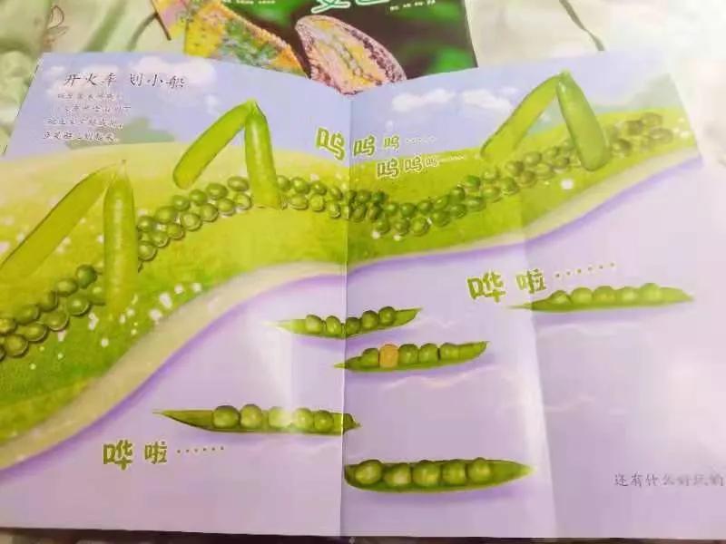 小聪仔科普版过刊值得买吗,小聪仔科普版值得买吗