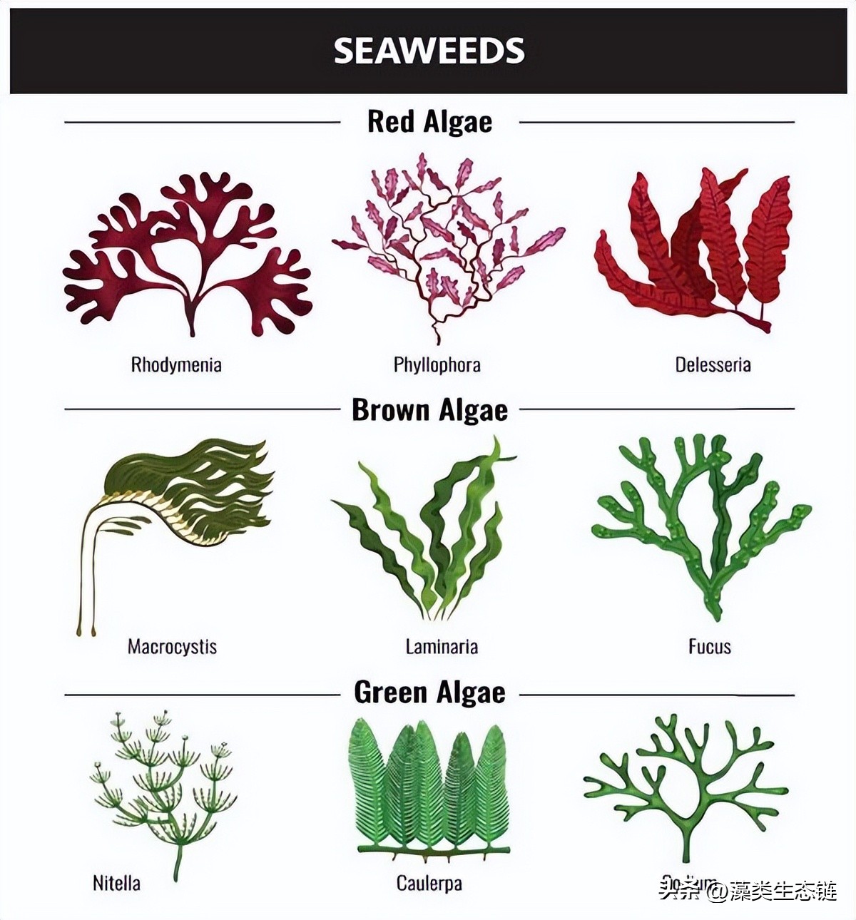 跨越时间的长河生物存在的意义,跨越时代的潮流