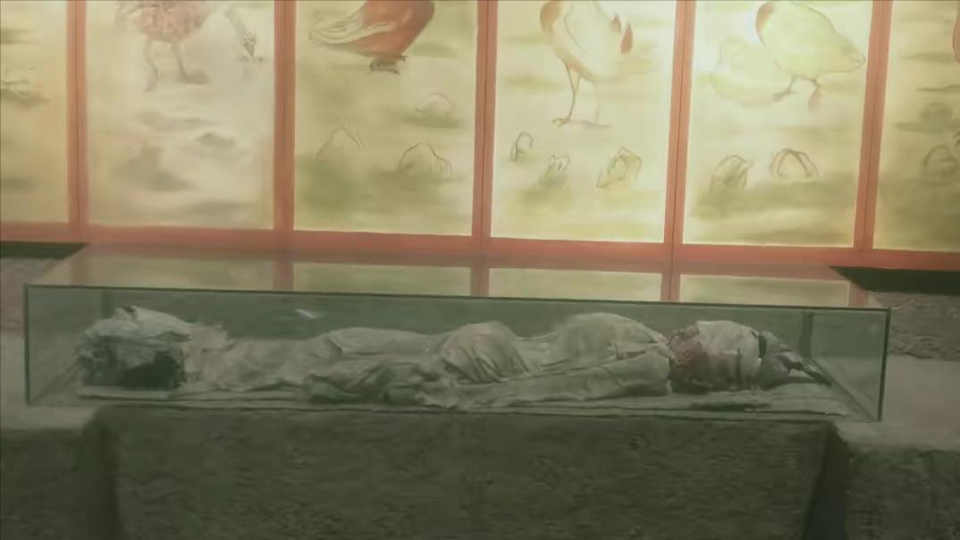 让尸体开口说话查案,让尸体说话纪录片