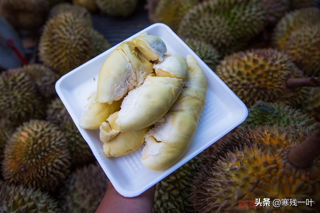 璧拌繘娉板浗鐪熷疄鐢熸椿,璧拌繘娉板浗鐢熸椿