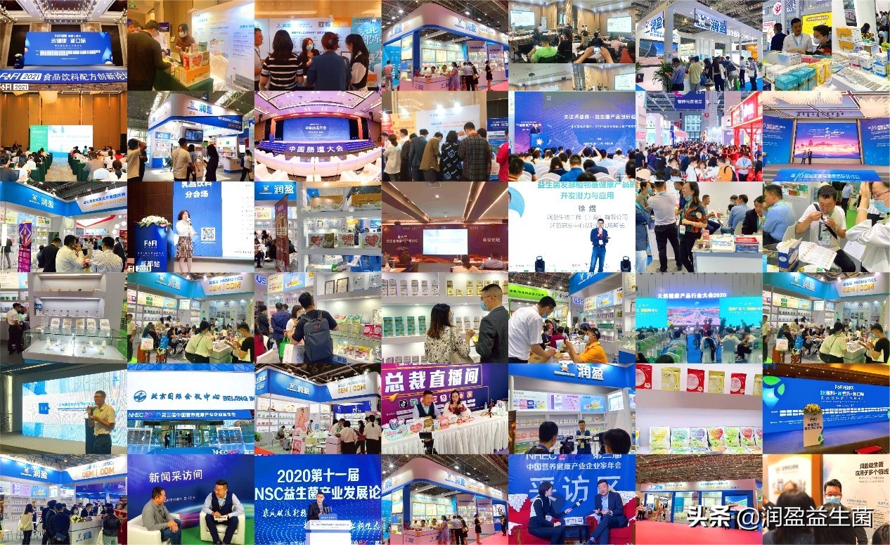 润盈生物工程上海有限公司,润盈生物最新消息