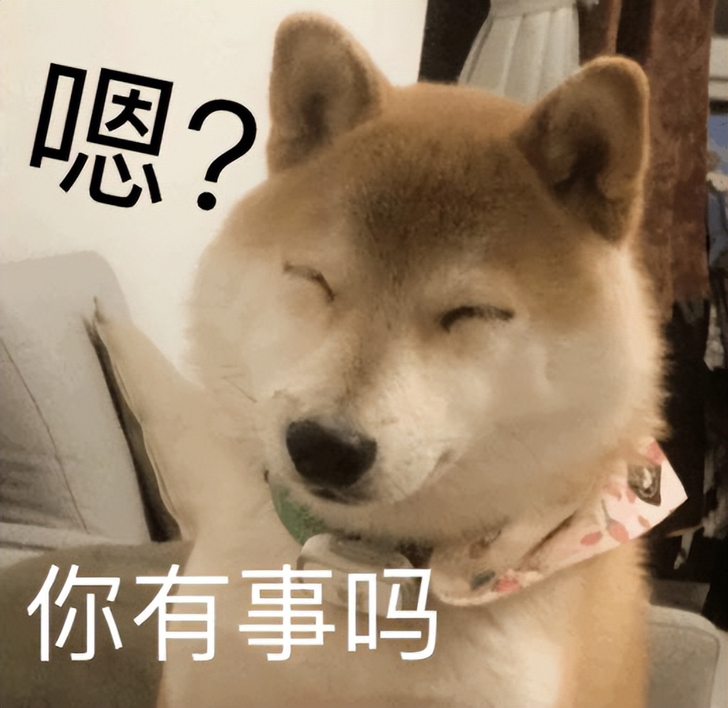 狗狗为什么会轻轻咬你,狗狗轻咬主人手啥意思