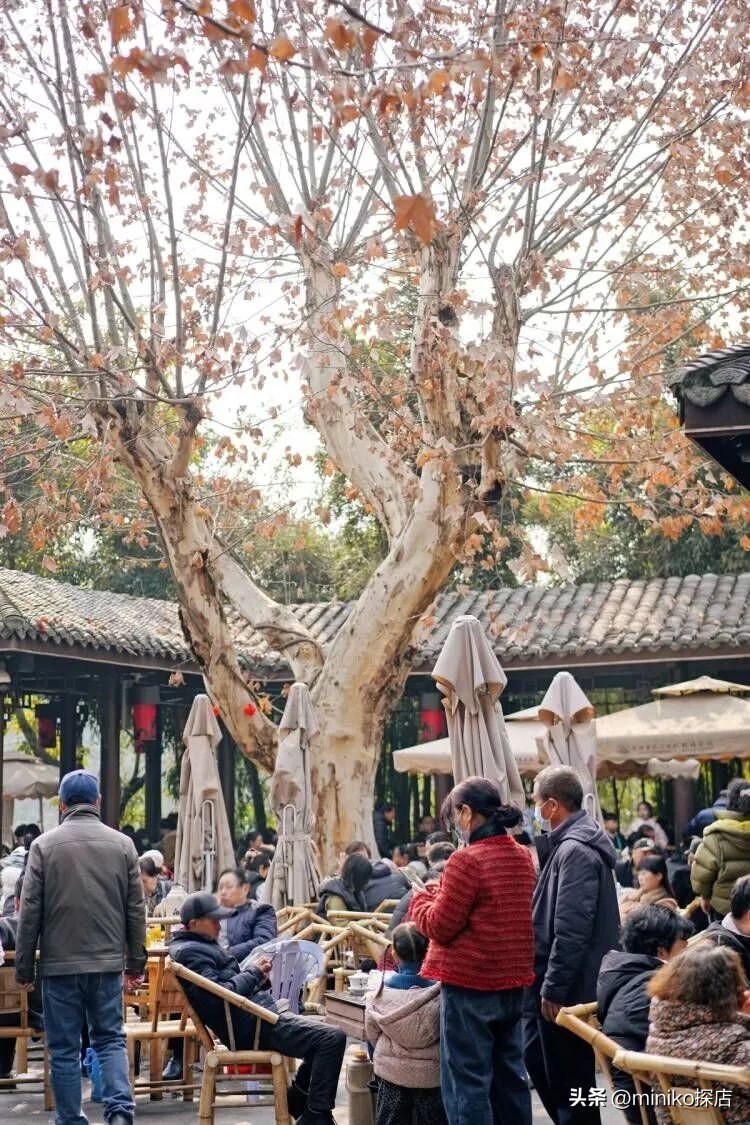 成都不得不去的文艺中式茶馆,带你打卡成都老茶馆