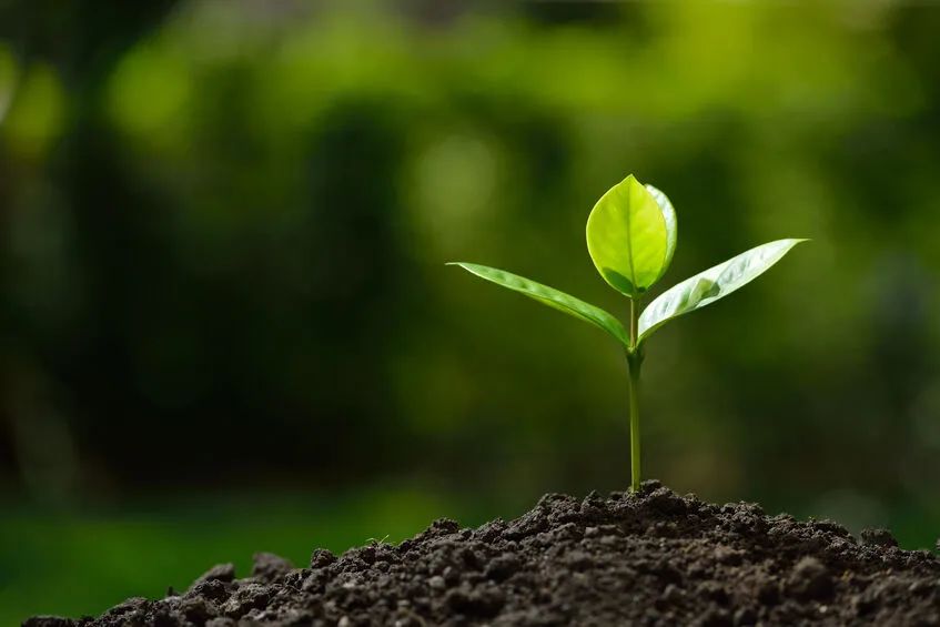 牙齿好多结石一定要洗掉吗,牙结石二十多年对牙齿的伤害