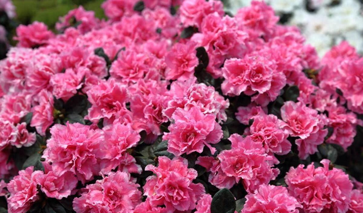 如何解读两性思维差异,如何了解两性思维差异