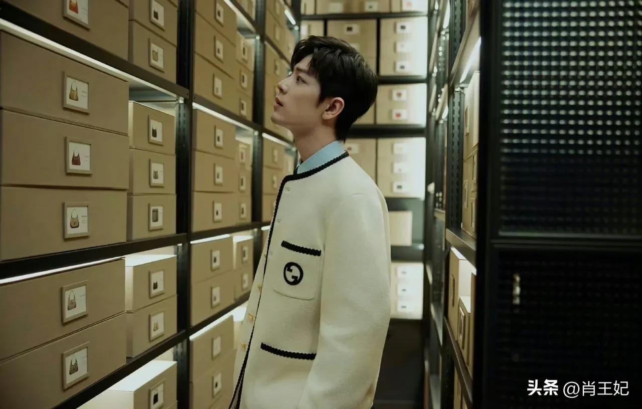 官网点进去全部都是肖战Gucci他超爱这才是官网该有的样子好养眼