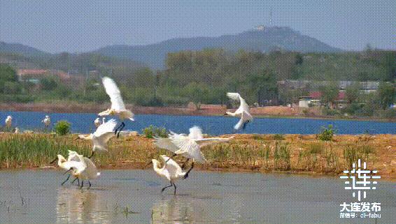 绿水青山不负人！大连，更好看了！
