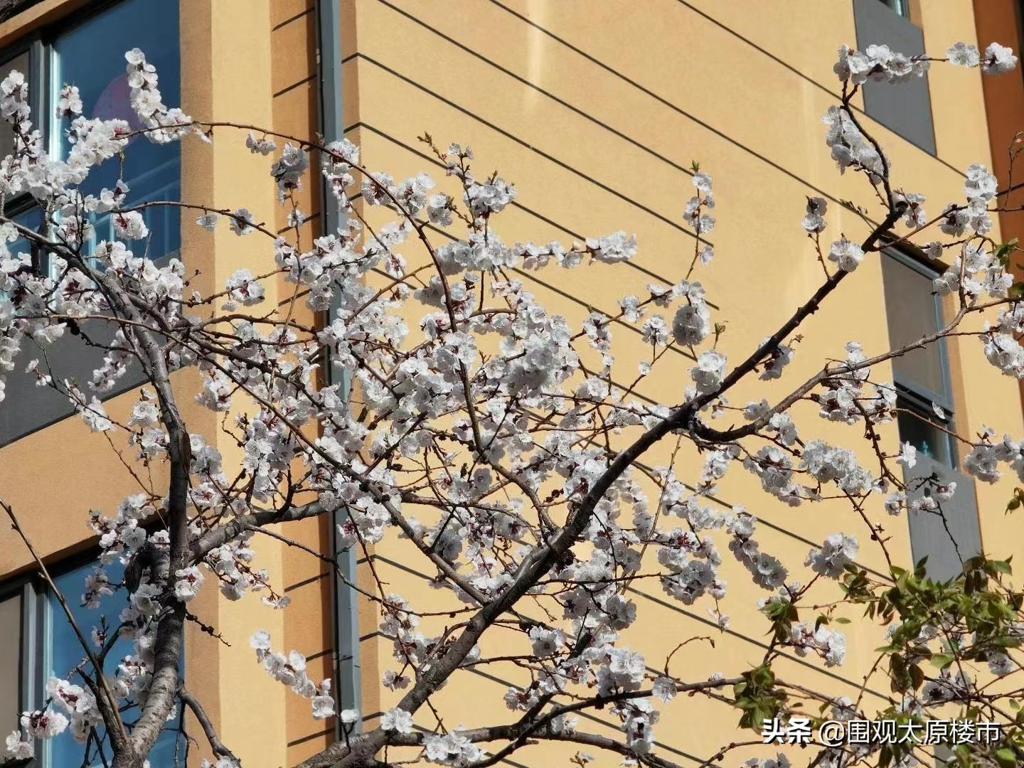 太原南站刚需房,太原刚需板块有哪些