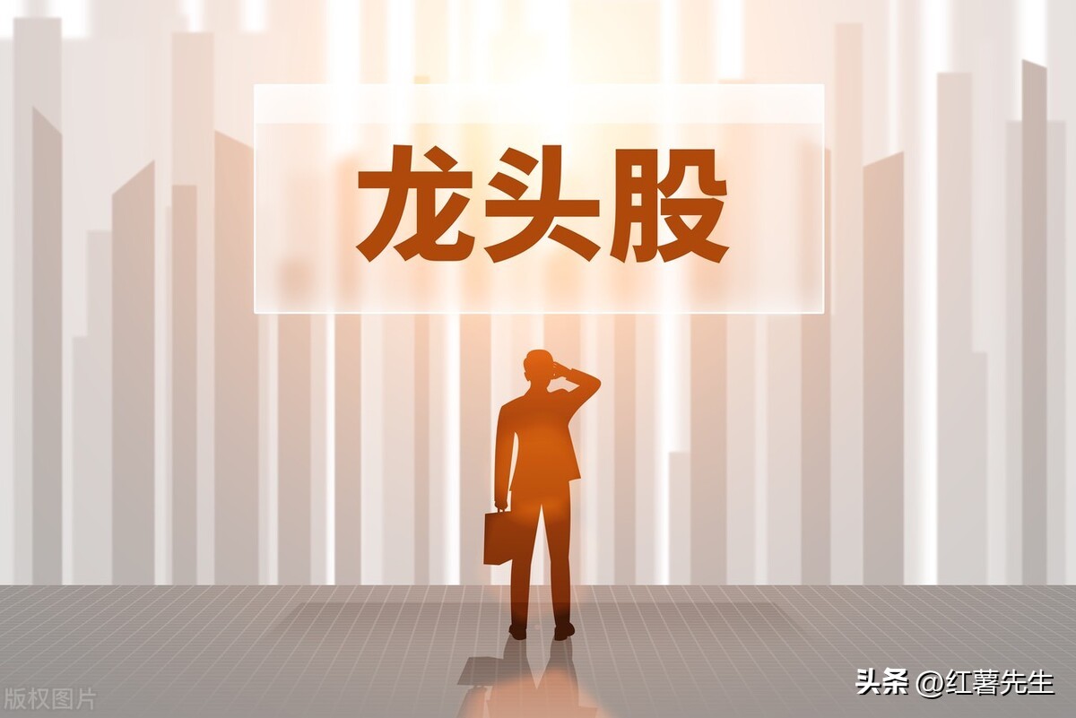 估值低的细分龙头,2022估值低业绩好细分龙头