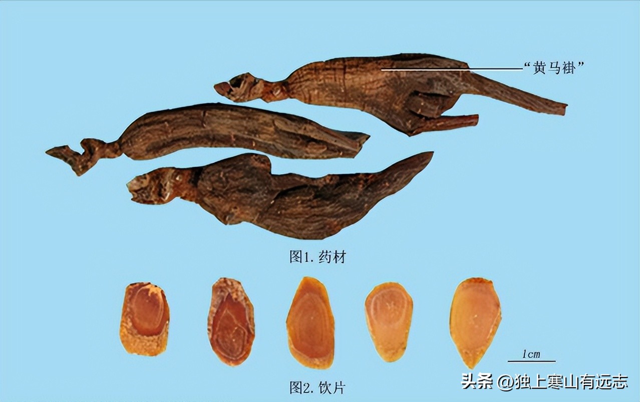 人参的种类和功效大全,人参第一名