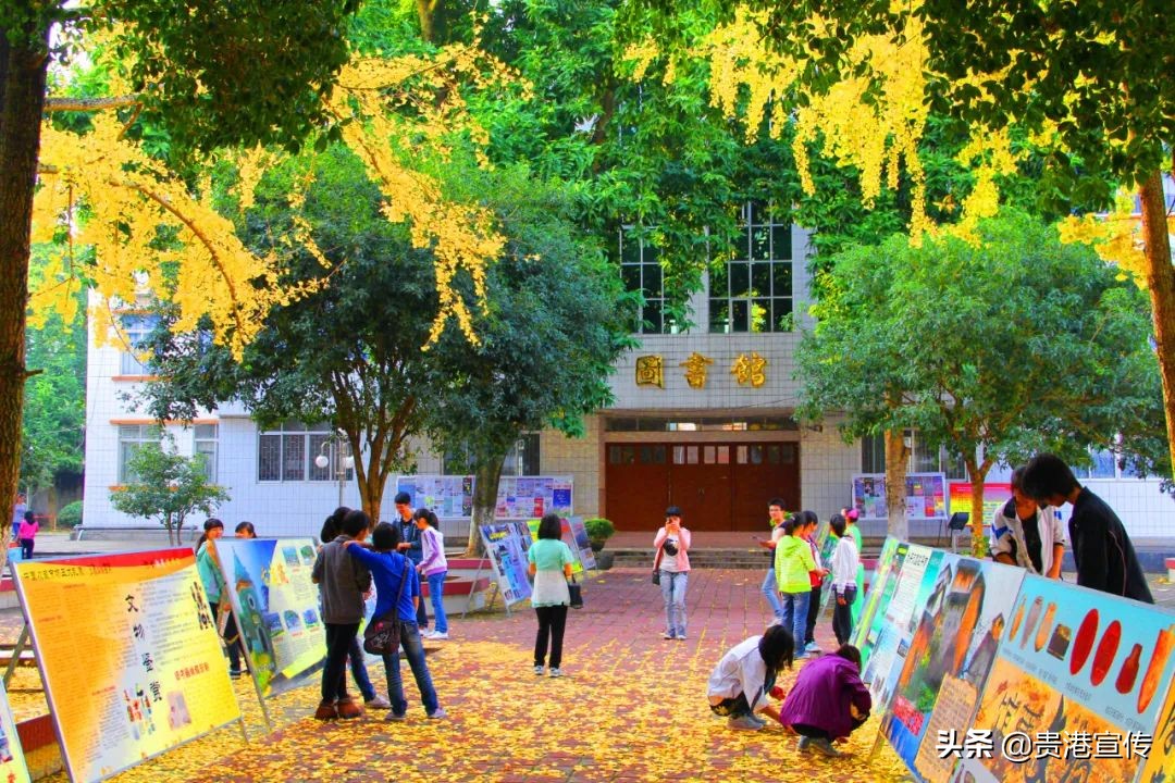 贵港人的记忆,贵港人回忆