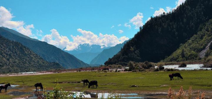 手机拍vlog用什么软件,做vlog用什么手机拍视频好