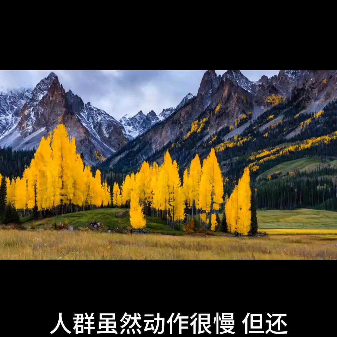 诡道传人简介,诡道传人免费阅读