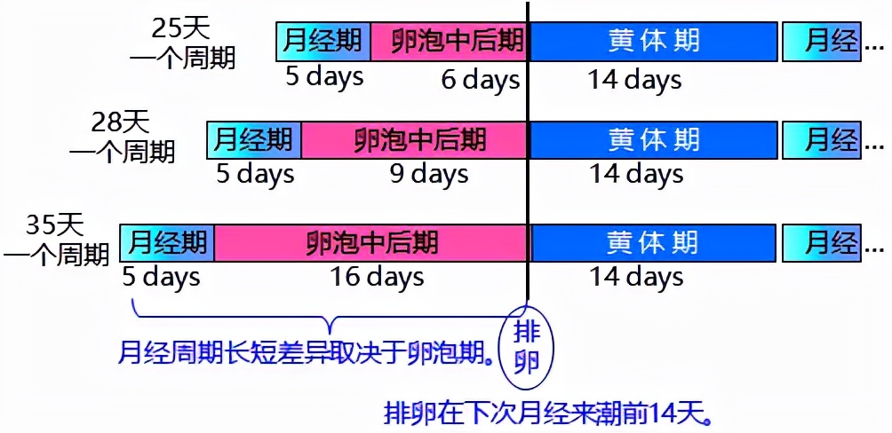 怕她不来又怕她乱来的文案,怕她不来又怕她乱来出处
