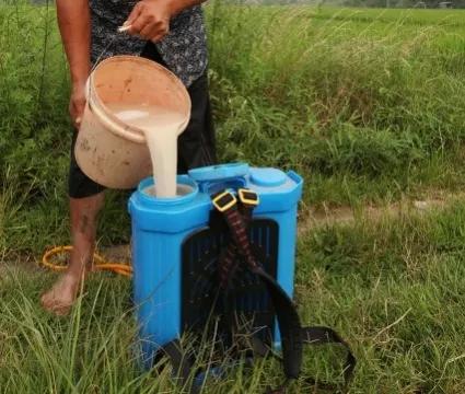 治粉虱最有效的土方法,治疗白色粉虱最有效的药