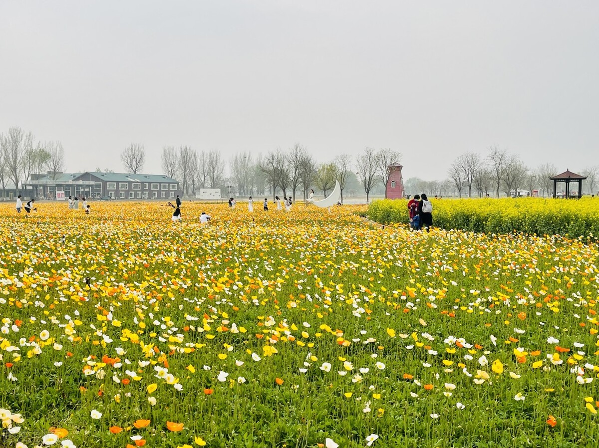 颤抖的双手,三种症状提示可能患有帕金森疾病