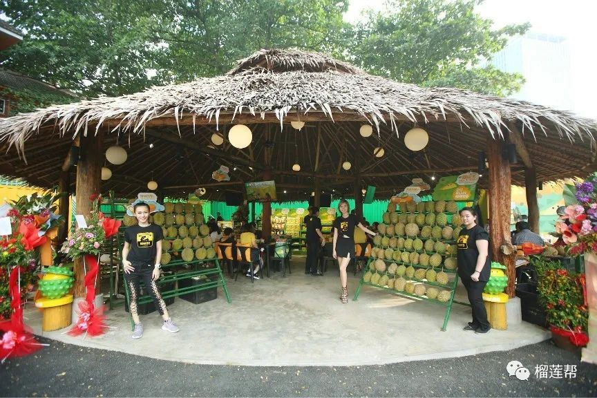 开一个38元榴莲店怎么样,开一家关于榴莲的店