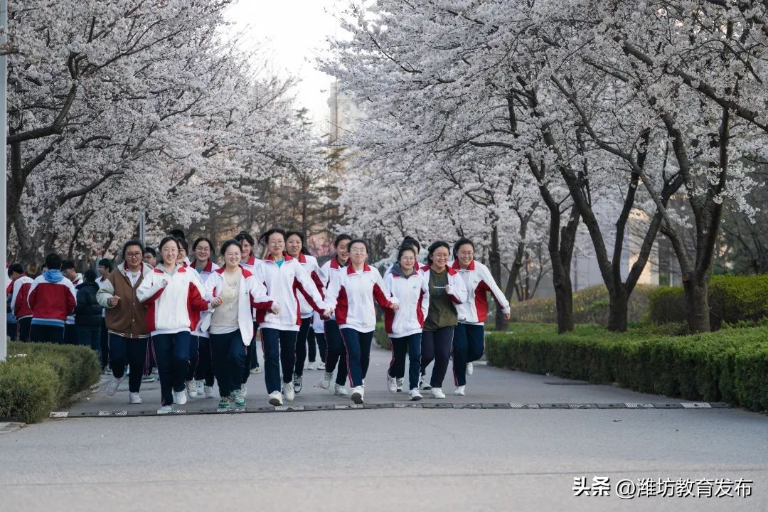 美！潍坊校园春景强势来袭