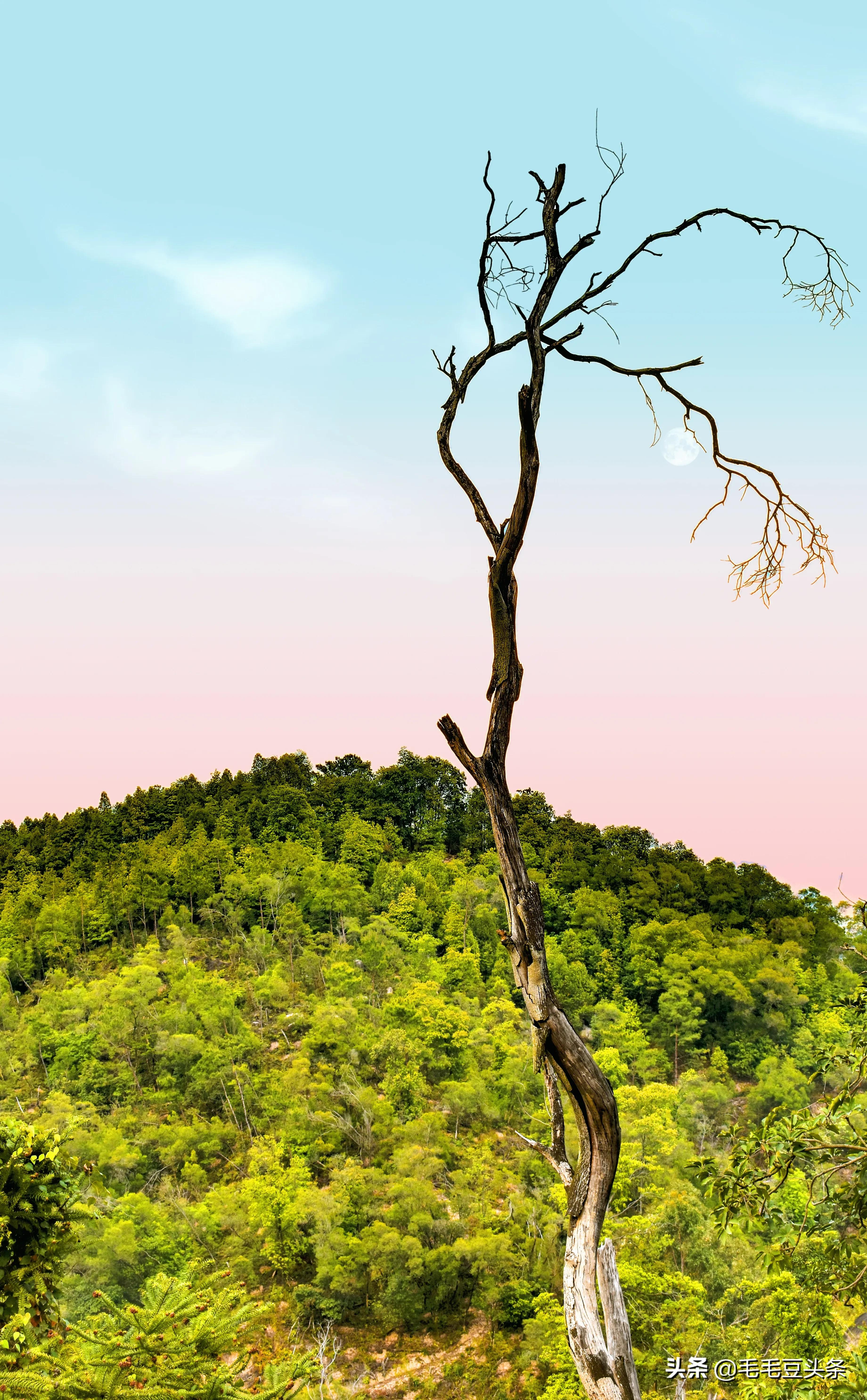 厦门景点大全自驾游攻略,厦门有哪些景点免费门票