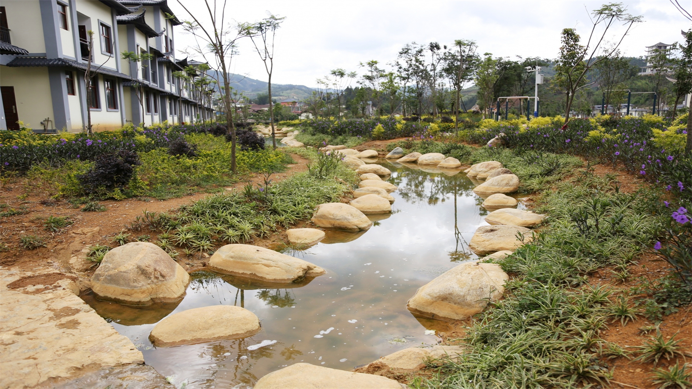 一杯茶一份淡雅的情怀,一杯雅茶