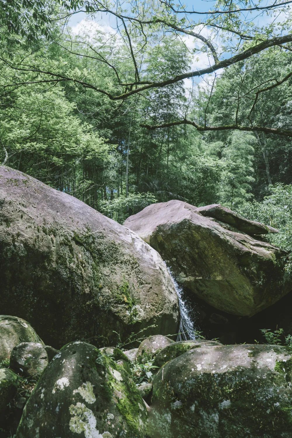 长沙夏日周末旅游景点攻略,长沙夏日游玩攻略一日游推荐