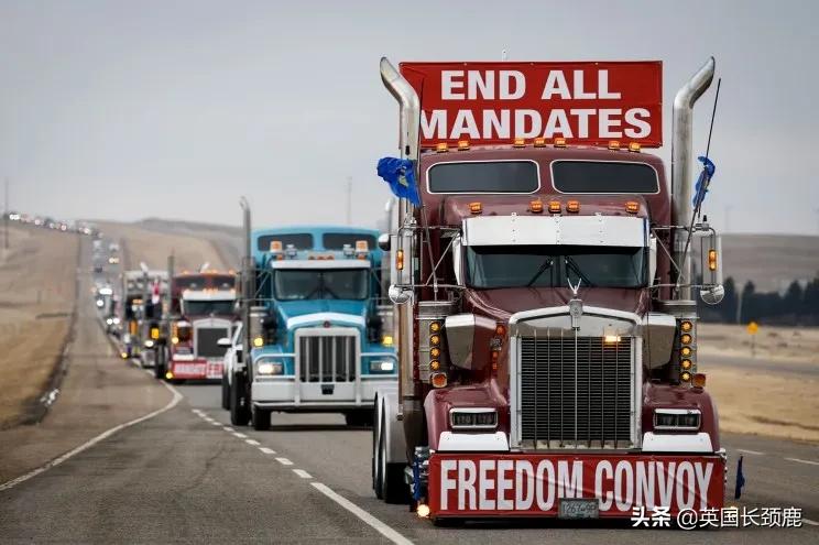 英国发现病毒新变种,英国发现第二种变异病毒