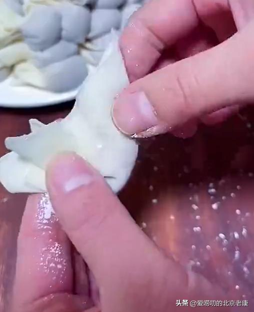 鲜肉云吞做法大全,老味云吞的做法